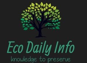 ecodailyinfo.com